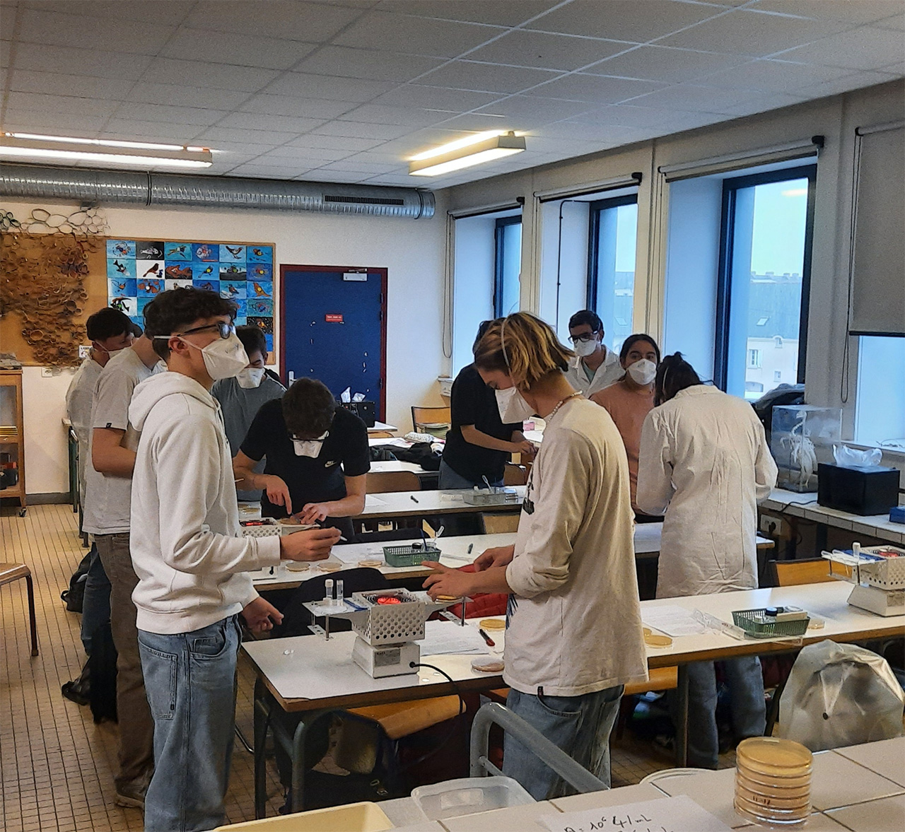 SVT lycée