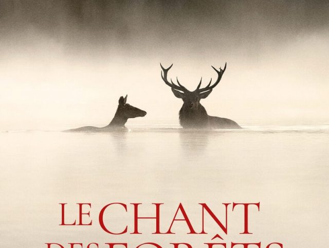 Une semaine tous ensemble avec "Dame Nature"
